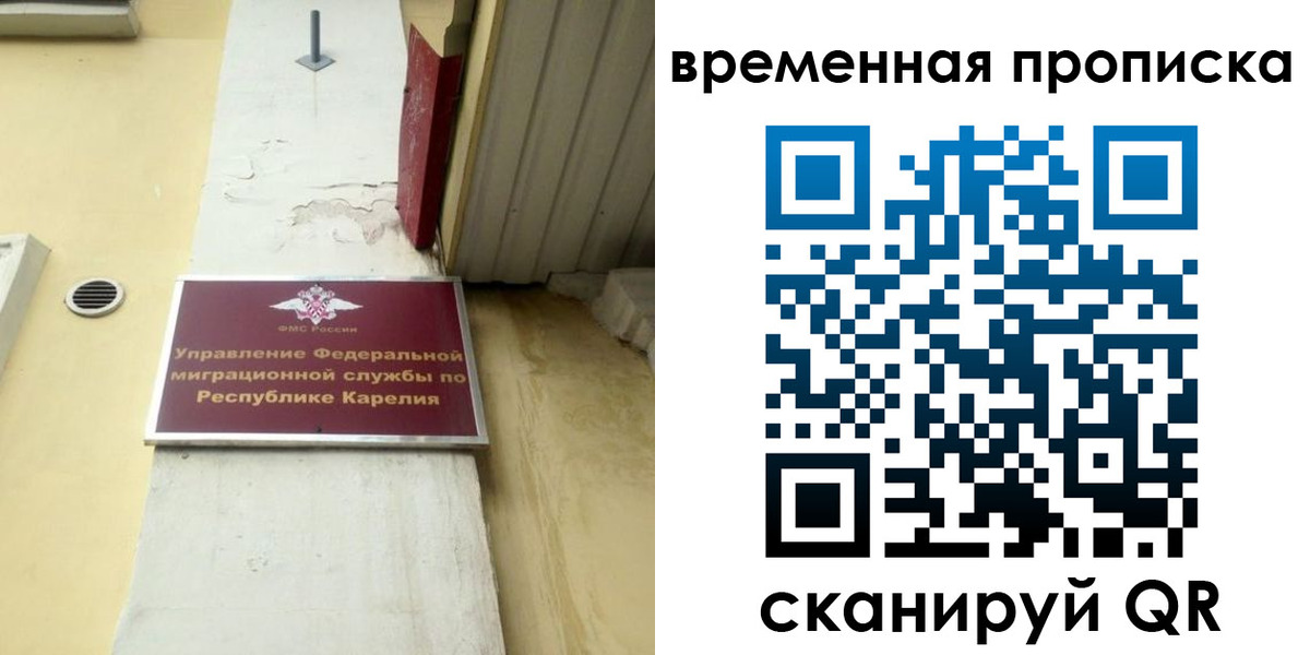 форма 3 в Камчатской области